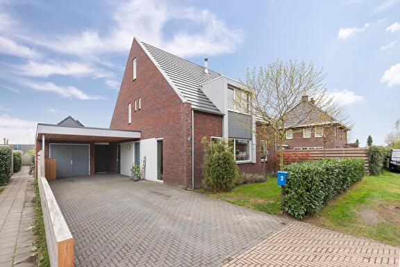 Boterbloem 2